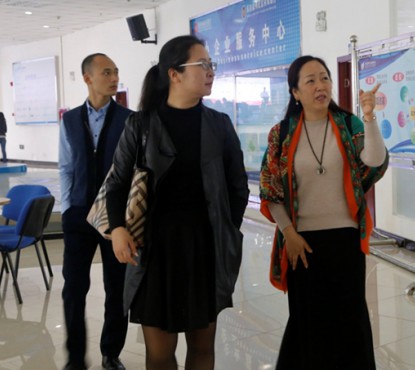 省经信委创业促进与服务体系处副处长 高薇一行莅临我中心指导工作
