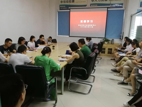 乐山市中小企业服务中心党支部组织开展学习党的十九大精神