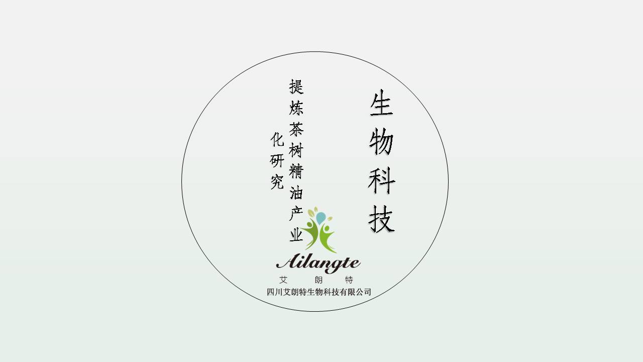 提炼茶树精油-艾朗特