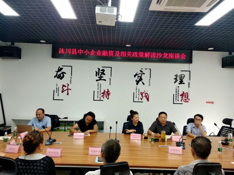 2020.5.9 沐川县中小企业融资及相关政策解读沙龙座谈会1