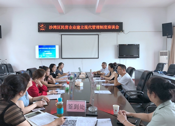 乐山市2020年民营企业建立现代企业制度沙湾区企业座谈交流会